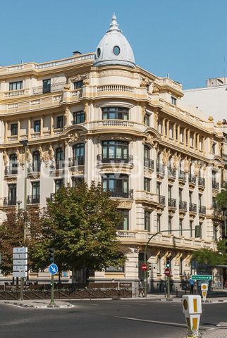 Estudio de alquiler en Almagro - Photo 3