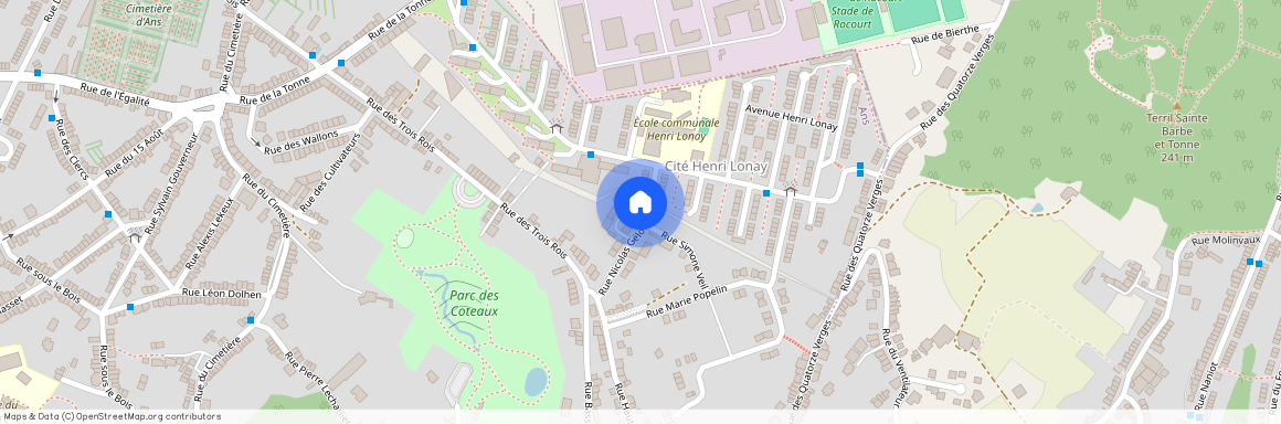 Rue Nicolas Gélon, 17, 01, 4430, Ans