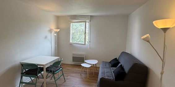 Location Appartement 1 pièce Meublé 20m² TALENCE 33400 - Photo 3