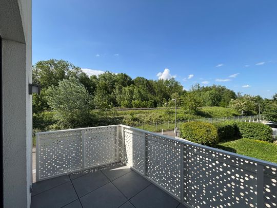 Location Appartement 1 pièce 33m² HOENHEIM 67800 - Photo 1