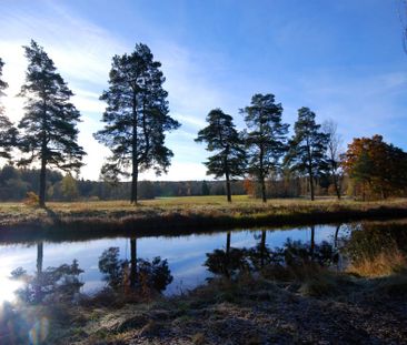 Naturnära nymålad trea en trappa upp - Foto 1