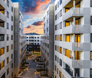 108/38 Oakden Street, Greenway ACT 2900 - Apartment For Rent | Domain - Photo 5
