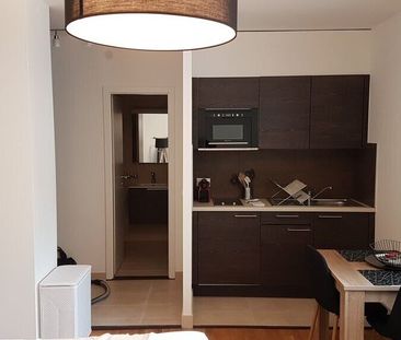 Superbe studio rénové et meublé au coeur de Genève - Foto 3