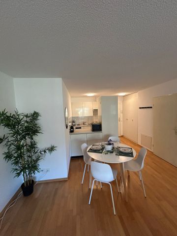 Neugasse 83 – Stylish Newly Furnished Studio in the Heart of Zurich! - Photo 2