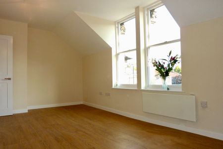 Large One Bedroom Apartment to Let in Redland - Photo 4