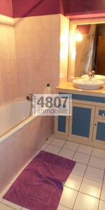 Location appartement 1 pièce 34.38 m² à Annecy (74000) - Photo 3