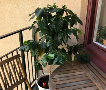 Vikingagatan, Stockholm - Photo 5