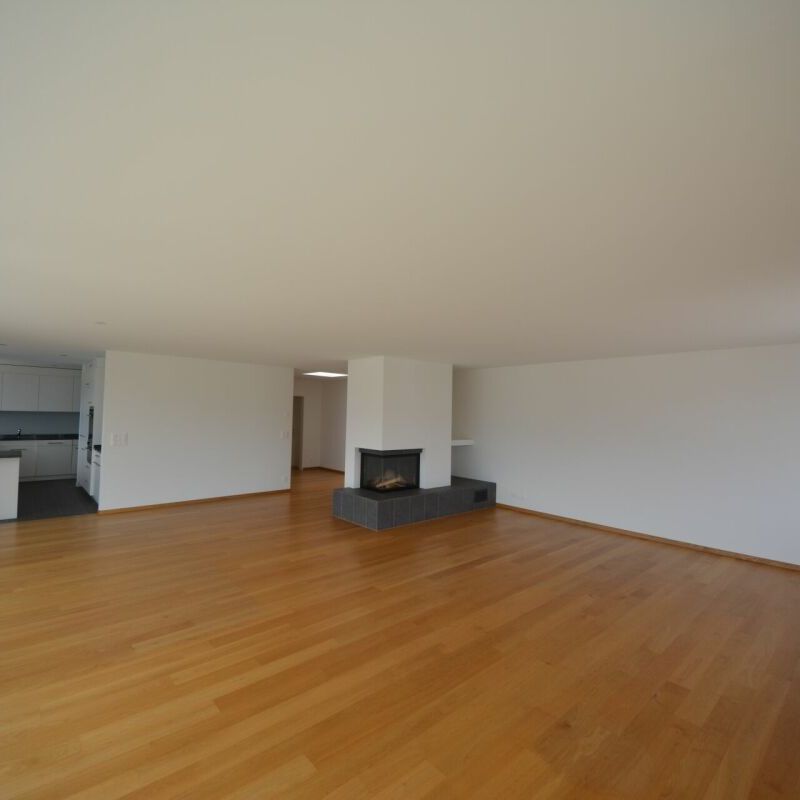 Der Attika-Traum vom Eichfeldpark - Photo 1