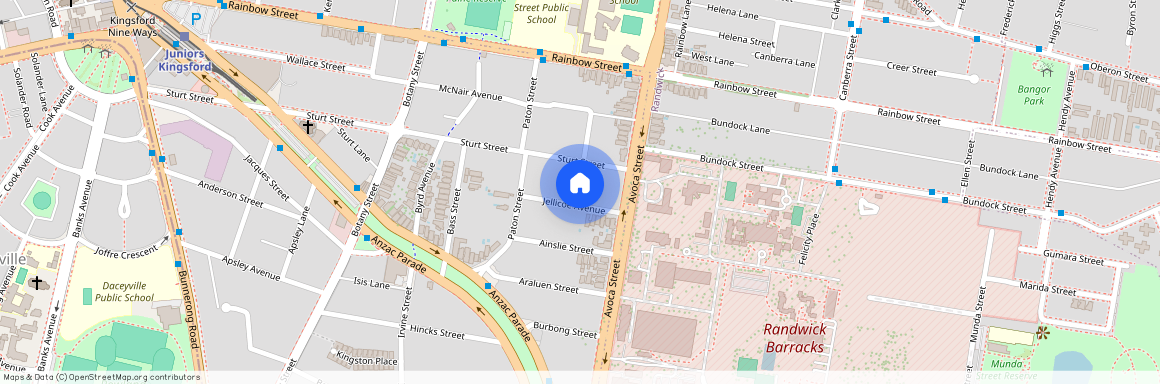 22 Jellicoe Avenue, NSW 2032, Kingsford