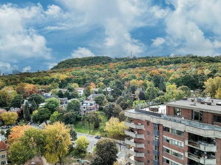 115 Ch. de la Côte-Ste-Catherine PH, QC, CA, Montréal (Outremont) - Photo 3