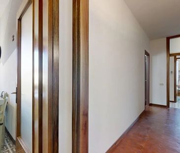 Via Papa Giovanni XXIII, Noventana, Veneto 35027 - Photo 5