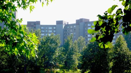 Gemütliche 2-Zimmer-Wohnung in Darmstadt-Kranichstein - Photo 3