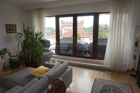 Four Bedroom Penthouse with Terrace - Kiseleff - Fotografie 2