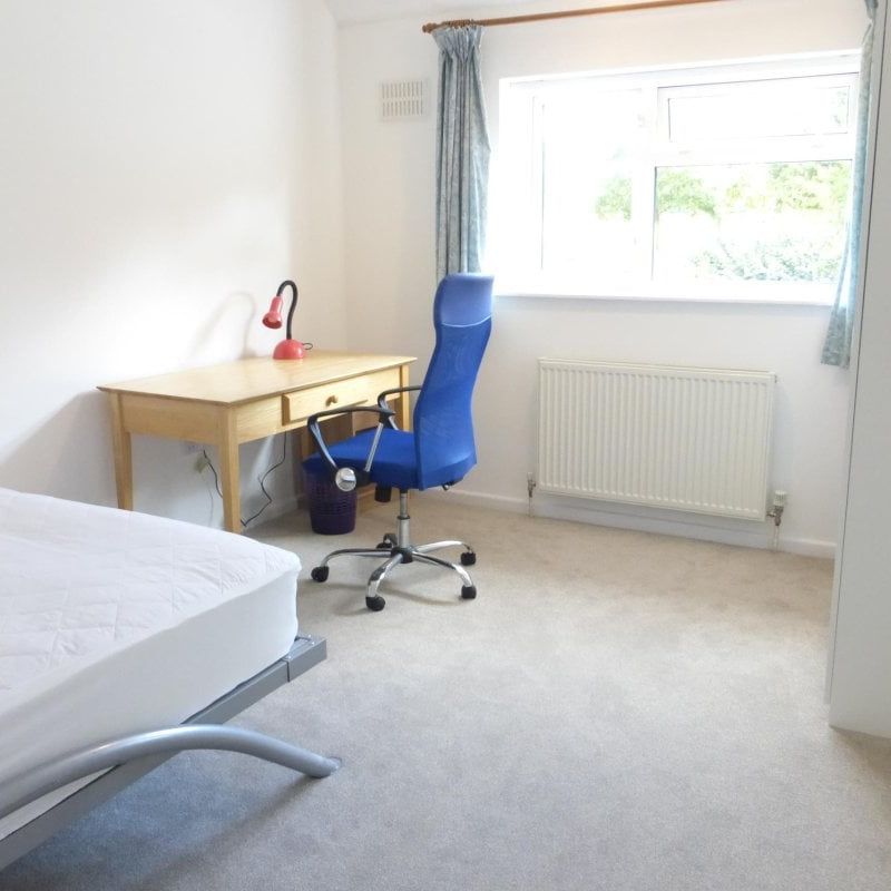 North Park Avenue - Photo 1