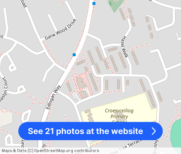 Steepfield, Croesyceiliog, NP44 - Photo 1