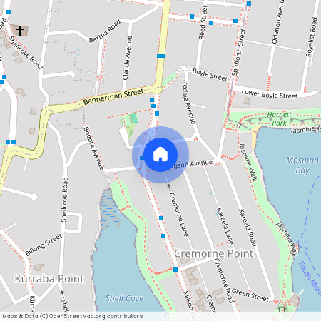 2/10 Hodgson Avenue, Cremorne Point