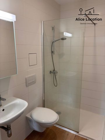 Location Appartement 1 pièce 25m² EVIAN LES BAINS 74500 - Photo 3