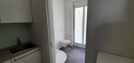 ONE-ROOM APARTMENT IN BASEL – BIRSFELDEN, FURNISHED - Foto 3