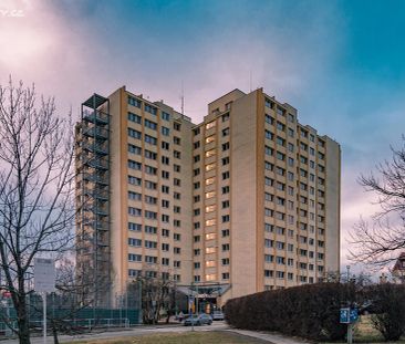 Pronájem bytu 1+kk 25 m² - Photo 1