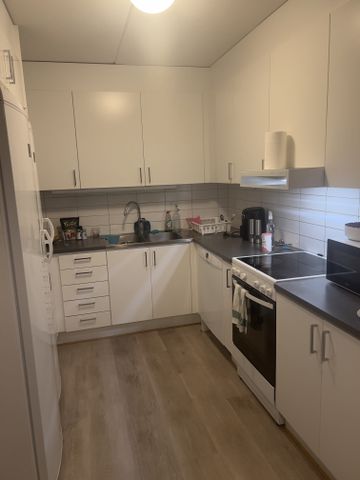 Gånglåtsvägen, Malmö - Photo 4