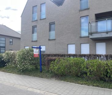 Plantenstraat 79/101, 8400, Oostende, BE - Photo 4