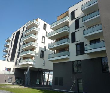 Location Appartement 2 pièces 48m² HEROUVILLE ST CLAIR 14200 - Photo 4