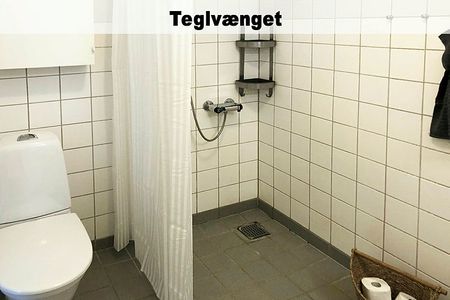 Rørsangervej,Teglvænget,Birkefredsvej 446-0 - Photo 2