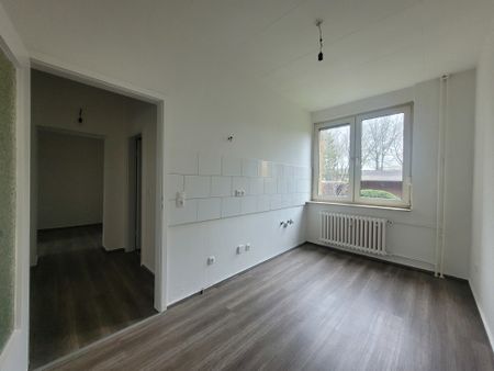 Renovierte 2-Zimmer-Wohnung sucht neue Mieter! Besichtigungstermine sind ab dem 01.10.24 möglich - Foto 3