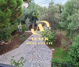 Μονοκατοικία για ενοικίαση - Αρτέμιδα (Λούτσα), - Photo 6