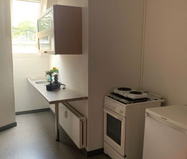 Rooftop apartment for rent right next to the Beyeler Museum - Photo 1