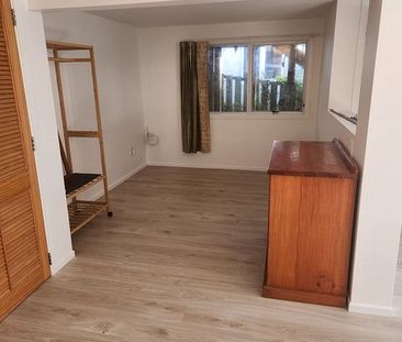 Downstairs self contained unit - Photo 3