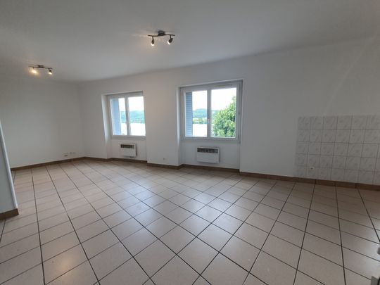 Location Appartement 2 pièces 43m² CONDRIEU 69420 - Photo 1