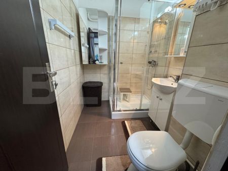 Garsoniera de inchiriat, 32 mp, Brazda lui Novac - Fotografie 5