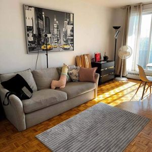 1 CH - 1 SDB - Montréal - $1,250 /mo - Photo 3