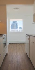 FULLY RENOVATED AND UPDATED 1 Bd 1Bth Penthouse - UNFURNISHED - Photo 3