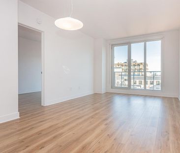 693 William Street, Montréal, QC - Photo 4