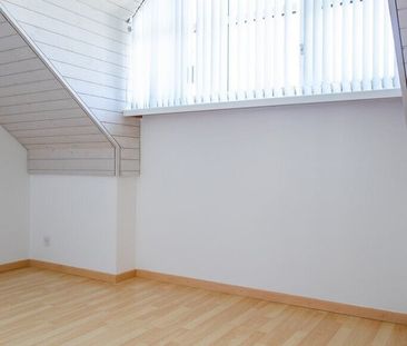 Renovated 3.5-room penthouse apartment - Foto 2