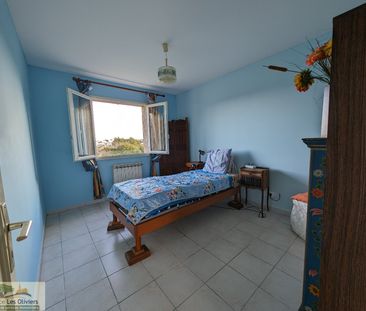 Location Maison 3 pièces 75m² ST GEORGES D ORQUES 34680 - Photo 3