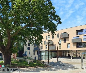 Burgess Springs, Chelmsford, City Park West - Photo 6