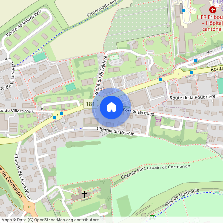 1752, Villars-sur-Glâne, Route Du Fort-Saint-Jacques, 161