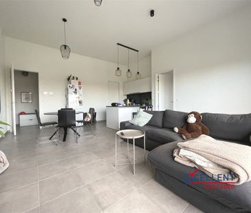 Appartement te huur in Deinze - Foto 2
