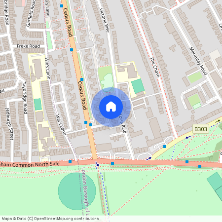 Victoria Rise, Clapham, SW4