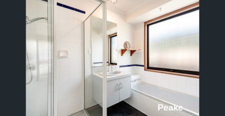 Courtenay Ave Delight - Photo 3