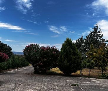 Διαμέρισμα για ενοικίαση Ανάληψη (Λαγκαδάς) - Photo 3