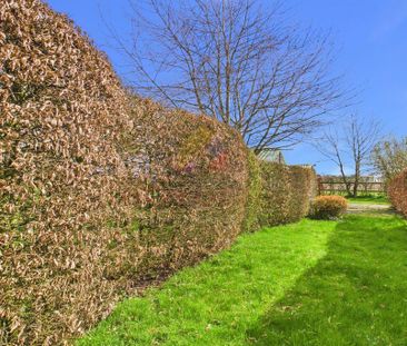 2 bedroom cottage to rent - Photo 4