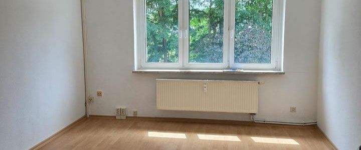 Singlewohnung zum verlieben! 2 -Raumwohnung mit Tageslichtbad im 1. OG - Photo 1