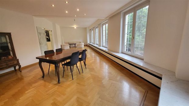 Ruim appartement met zicht op Stadspark - Photo 1