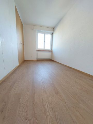 Ruhiges Familienparadies in Herzogenbuchsee - Photo 2
