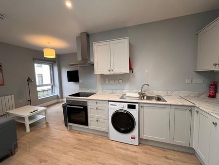 Castle Street, County Roscommon, F42 YR74, Roscommon Town - Photo 4