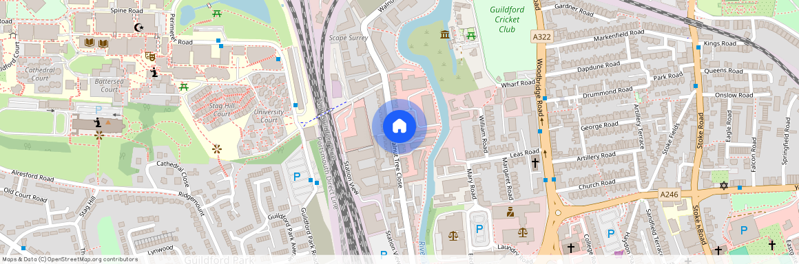 Walnut Tree Close, Guildford, GU1